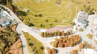 来临安，邂逅醉美的金秋