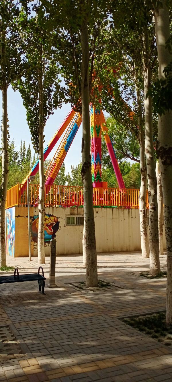 中山公园旅行图片 6
