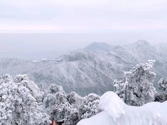 南岳衡山度假区游记图片] 南岳衡山：最美雾凇来了，旅游攻略已经给大家准备好了，赶快来收藏吧！