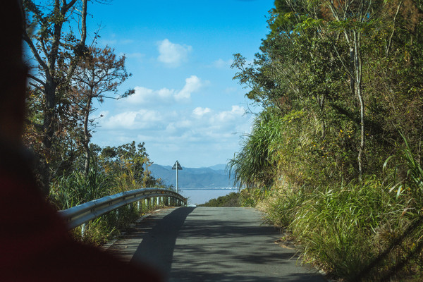 我在宁波玩山地滑车……