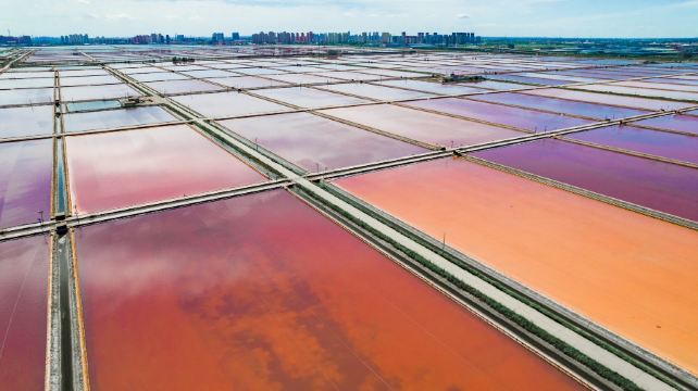 天津盐业风情游览区