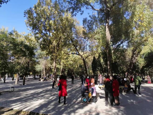 劳动公园旅行图片 2