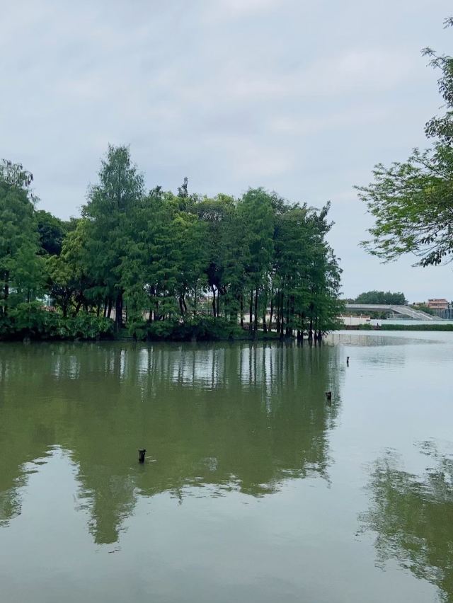 北滘公园旅行图片 4