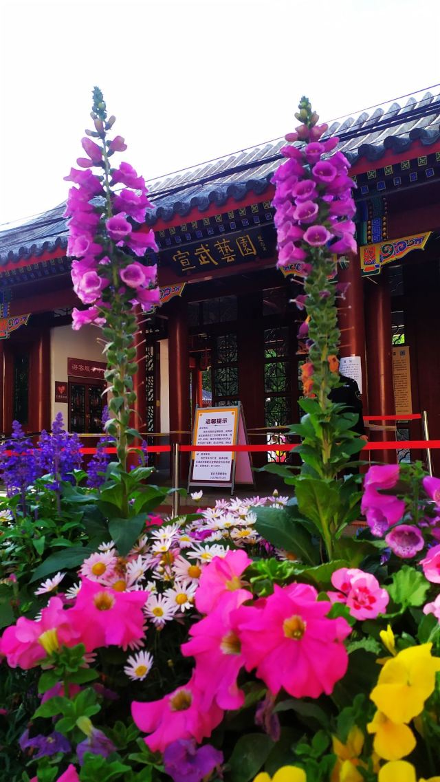 宣武艺园旅行图片 1