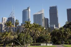 悉尼皇家植物园-悉尼