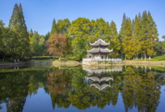 习家池景点图片