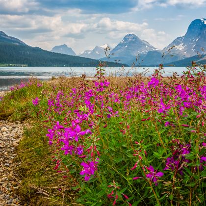 加拿大卡尔加里+班夫国家公园+贾斯珀国家公园+幽鹤国家公园6日5晚跟团游