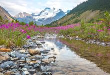 班夫国家公园景点图片