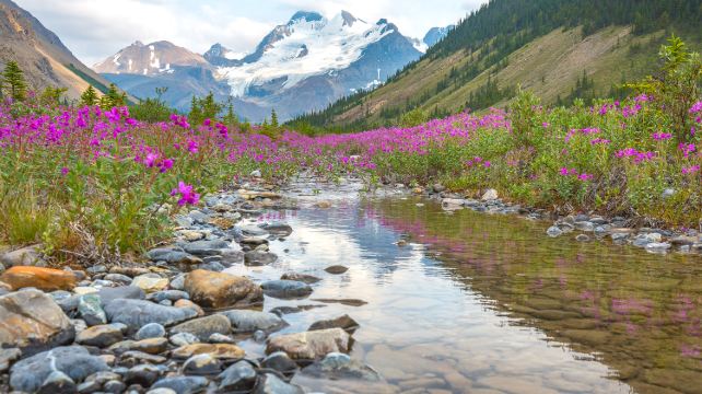 7-Day Yellowstone Cabin Tour·4 National Parks, Antelope Canyon, Horseshoe Bend, Bryce Canyon | 1 Night at Fontainebleau Las Vegas