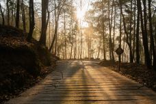 贵阳森林公园-贵阳