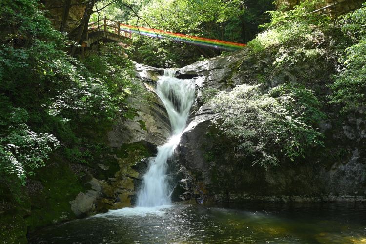 祥峪森林公园