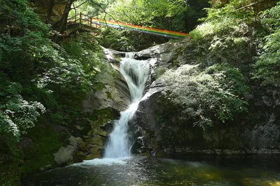 祥峪森林公园