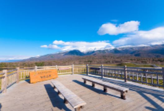 知床五湖景点图片