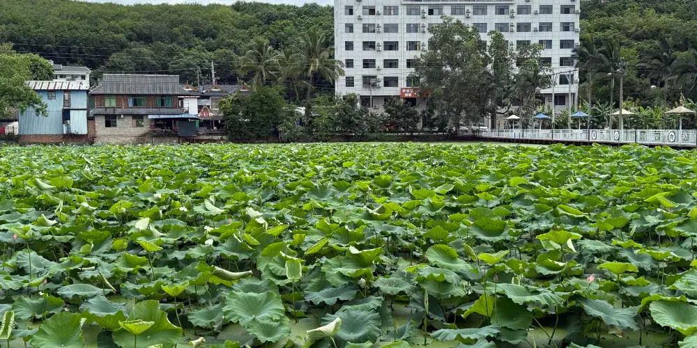 永安旅遊