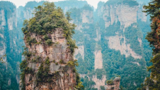 袁家界景区-乾坤柱