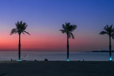 长兴岛