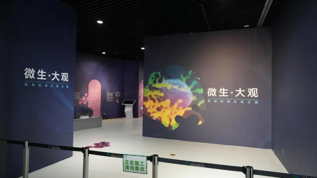 《微生・大观——隐秘的微生物王国》特展