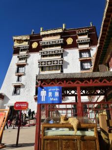 布达拉宫白宫-拉萨-BetTerDAY