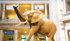 史密森博物馆-华盛顿-zhulei831230