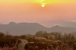 祝丹：雾山农家