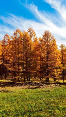 香山公园-北京-yundidi123