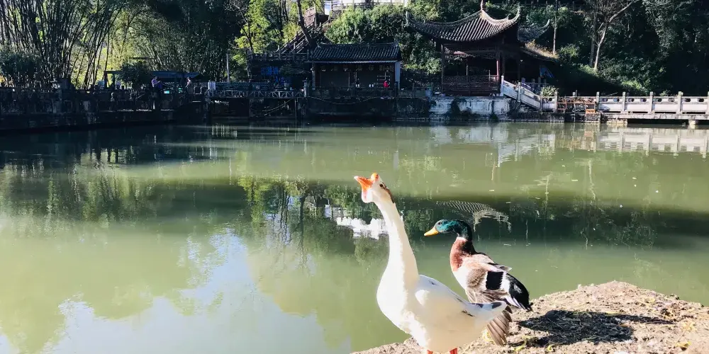 永安旅遊
