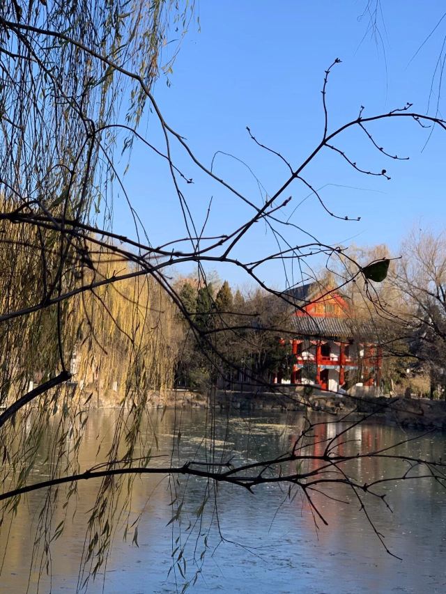 未名湖旅行图片 1