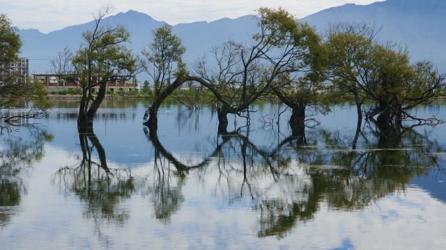 黄龙潭公园旅行图片 2