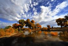 和田地区旅游图片-8日库尔勒+库车+轮台+喀什