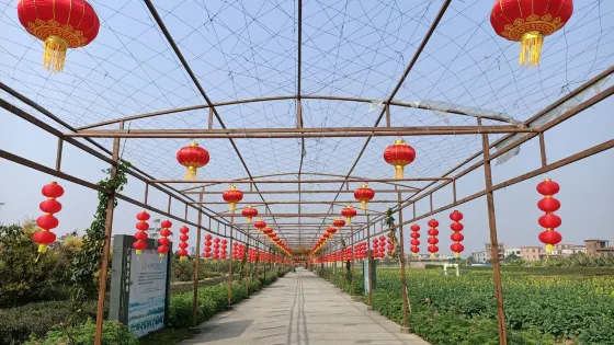 種業小鎮