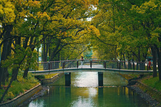 送你一份不走寻常路的苏州攻略，田园风民宿+文艺小清新打卡地