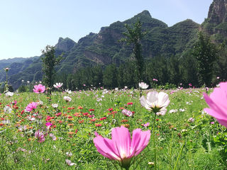 京郊游系列——房山拒马河畔