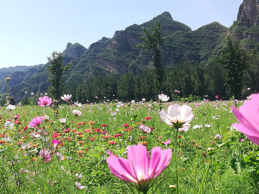 京郊游系列——房山拒马河畔