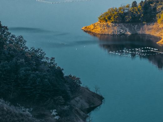 水丰湖景区