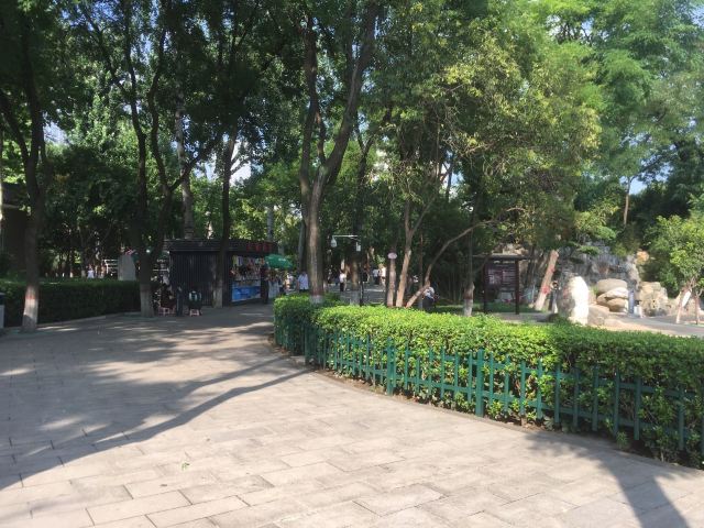 莲湖公园旅行图片 4