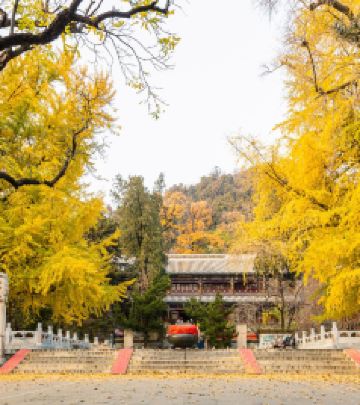 潭柘寺镇游记图文-暑期打卡@千年古寺潭柘寺祈福纳智求学业