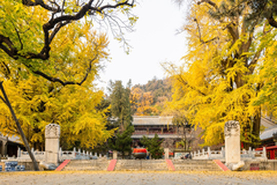 北京游记图片] 暑期打卡@千年古寺潭柘寺祈福纳智求学业