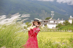 喜洲镇游记图片] 大理喜洲古镇，金秋稻田旅拍！打卡美好生活！
