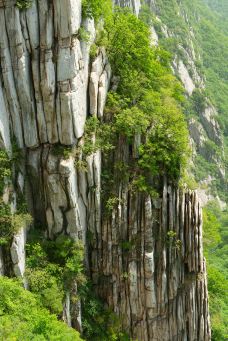 中国嵩顶国家森林公园-登封
