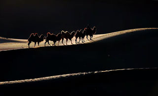 内蒙西部之旅四：神秘的阴山岩画