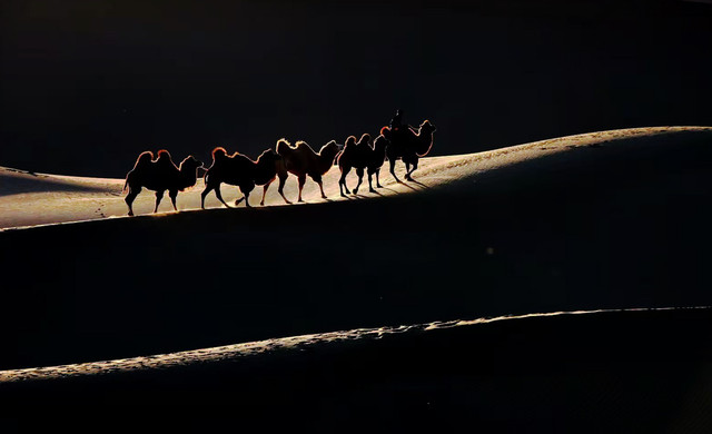 内蒙西部之旅四:神秘的阴山岩画