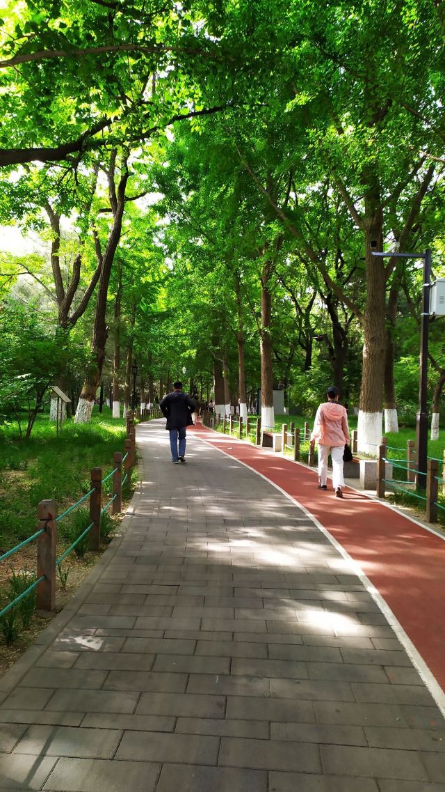 宣武艺园旅行图片 9