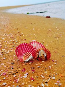 烟台-随遇而安20212021