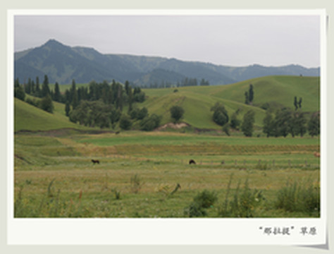 布鲁克游记图片] 2006年新疆之旅（8）