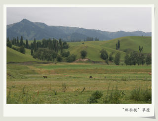 2006年新疆之旅（8）