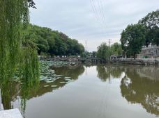 富顺西湖-富顺