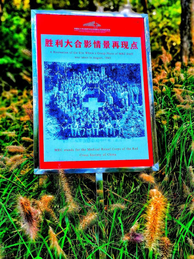 贵阳市森林公园旅行图片 10