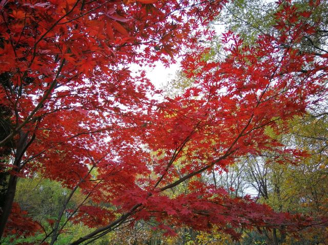 老山城市休闲公园旅行图片 7