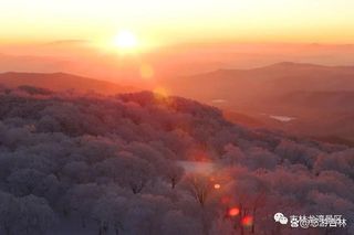 雾凇，冬季里的柔情