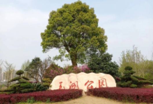 玉湖公园景点图片